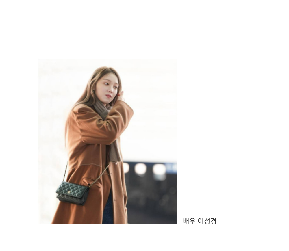 샤넬 클래식 woc 미니백 - 허시백 가방
